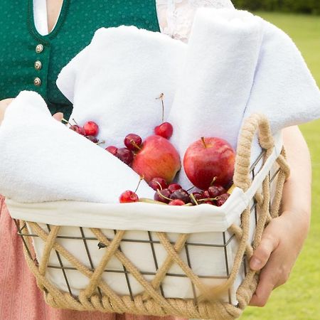 Obstgarten Gaestehaus Hollenstein an der Ybbs Екстериор снимка