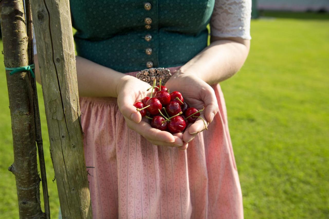 Obstgarten Gaestehaus Hollenstein an der Ybbs Екстериор снимка