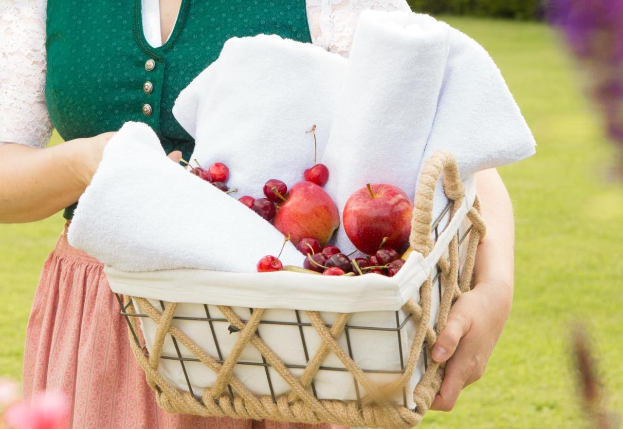 Obstgarten Gaestehaus Hollenstein an der Ybbs Екстериор снимка